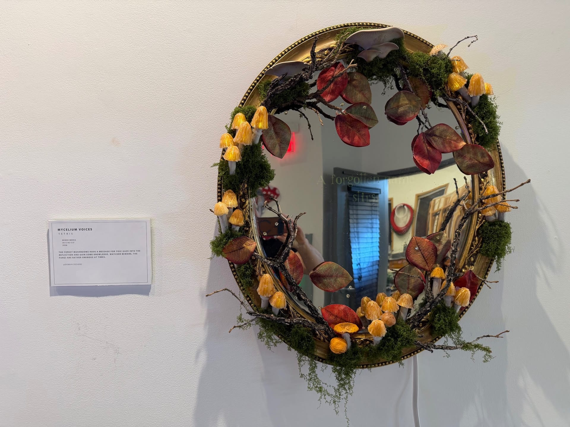 Mycelium Voices, a mirror surrounded by mushrooms, moss, branches, and leaves